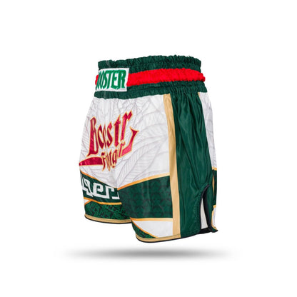 BOOSTER KICKBOKS BROEKJE ALGERIA COUNTRY AL - WIT/GROEN