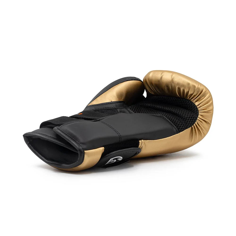 RIVAL (KICK)BOKSHANDSCHOEN EVOLUTION RS11V GOUD